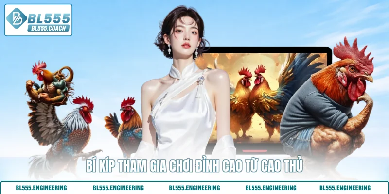 Bí kíp tham gia chơi đỉnh cao từ cao thủ