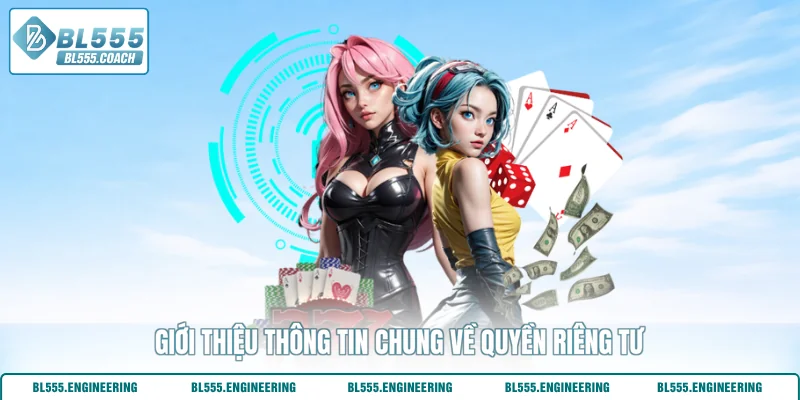 Giới thiệu thông tin chung về quyền riêng tư 