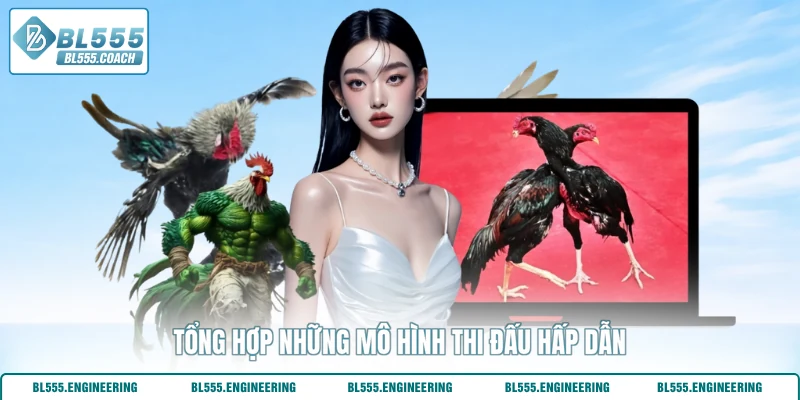 Tổng hợp những mô hình thi đấu hấp dẫn